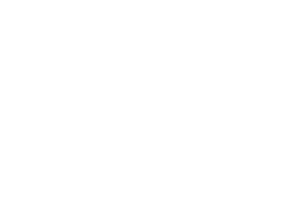 The Pines Wealth Management